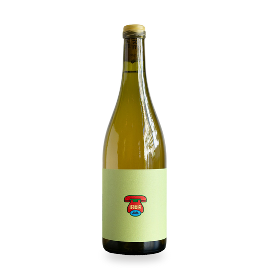 If Only If Only 2023 — Silvaner white wine from Franken, Germany | WineNoobs Luxembourg
