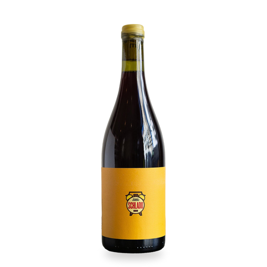 Schlado 2023 — Regent red wine from Franken, Germany | WineNoobs Luxembourg